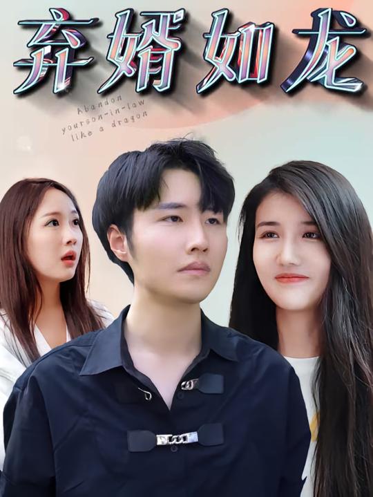 弃婿如龙封面