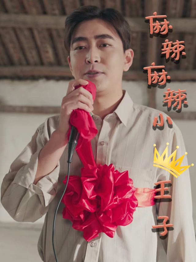 麻辣麻辣小王子封面