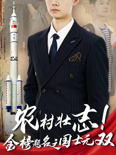 农村壮志金榜题名之国士无双封面