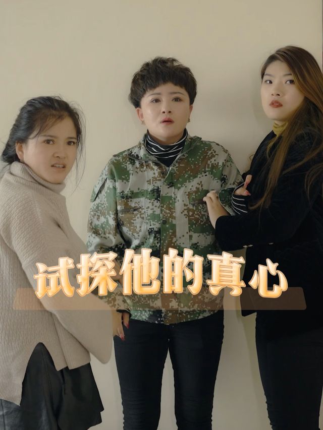 试探他的真心封面