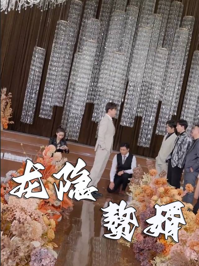 龙隐赘婿封面