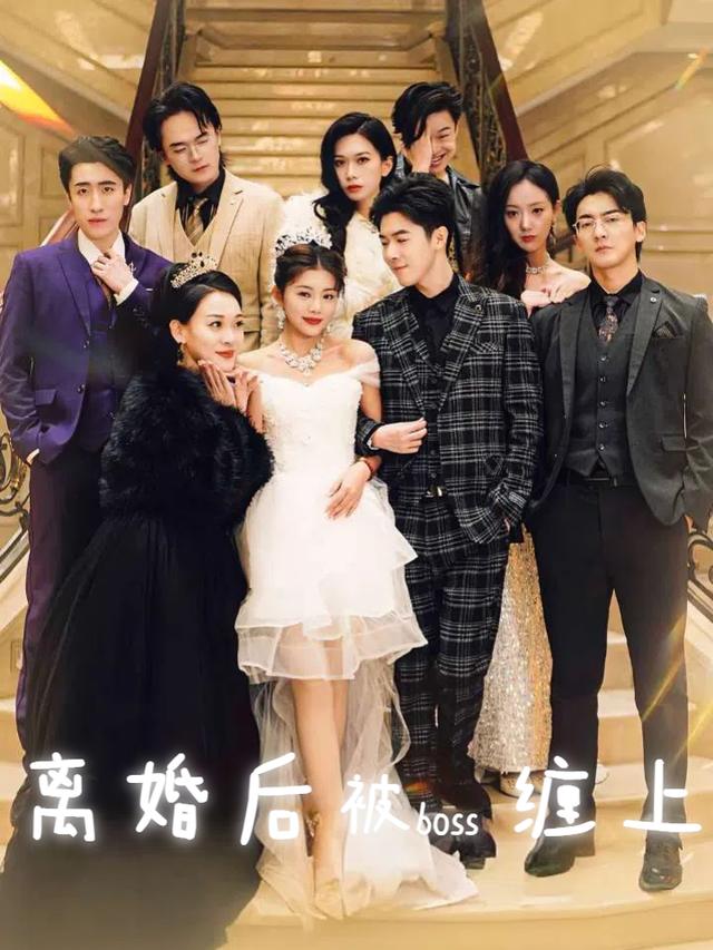 离婚后被boss缠上封面