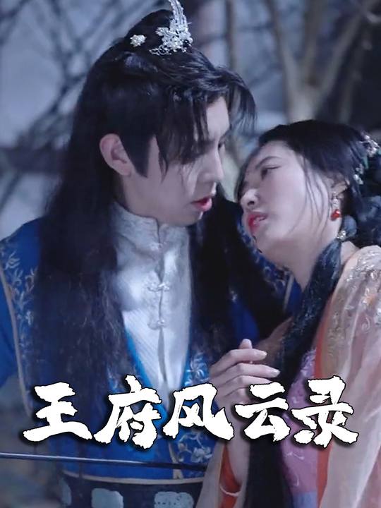 王府风云录封面