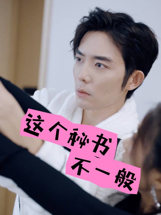 这个秘书不一般封面