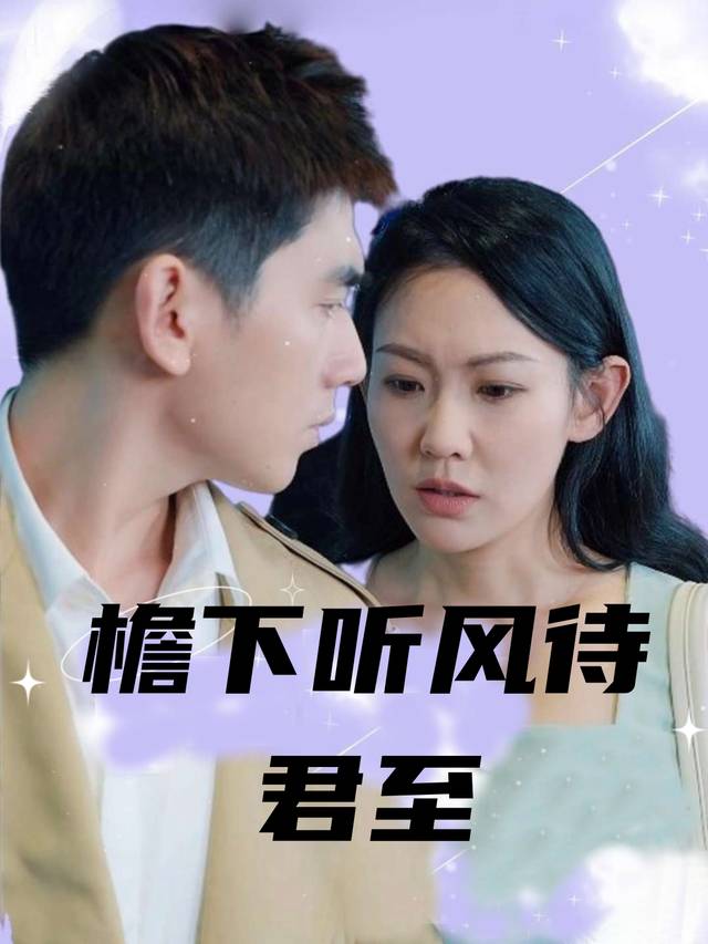 檐下听风待君至封面