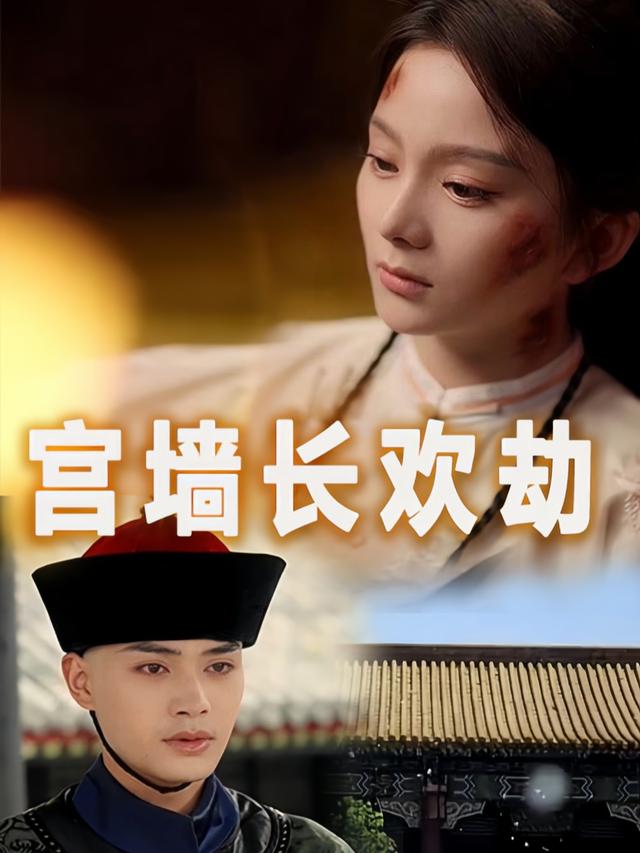 宫墙长欢劫封面