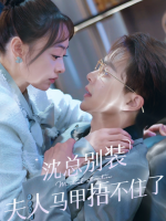 沈总别装:夫人马甲捂不住了封面