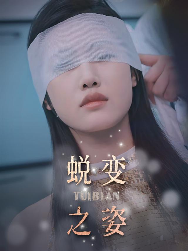 蜕变之姿封面