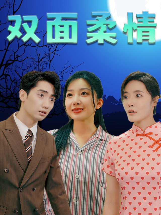 双面柔情封面