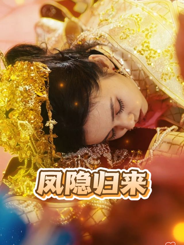 凤隐归来封面