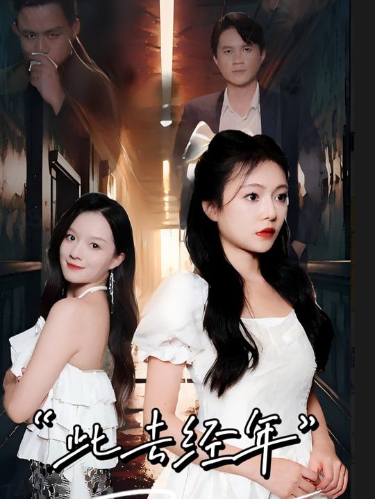 此去经年封面