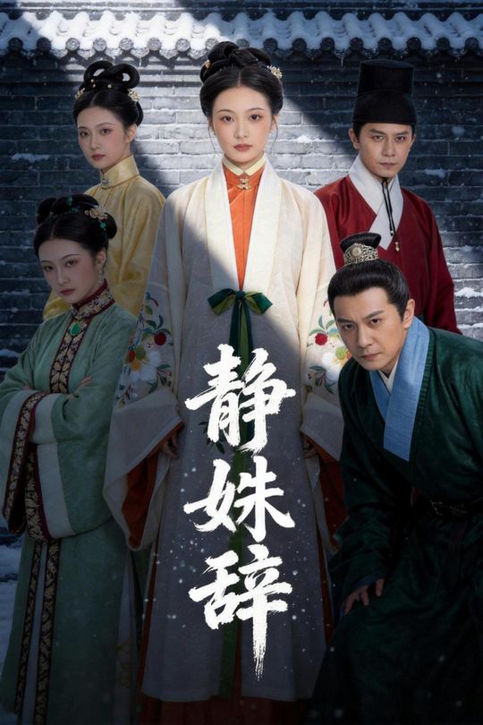 静姝辞封面