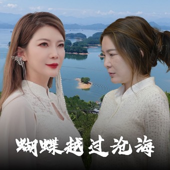 蝴蝶越过沧海封面