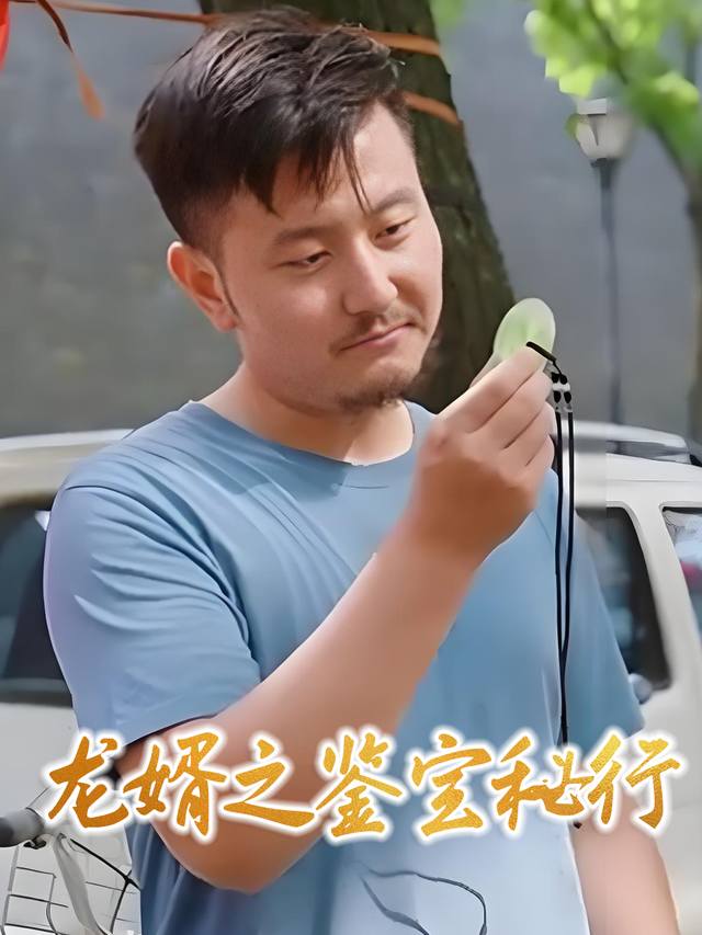 龙婿之鉴宝秘行封面