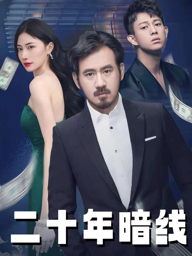 二十年暗线封面