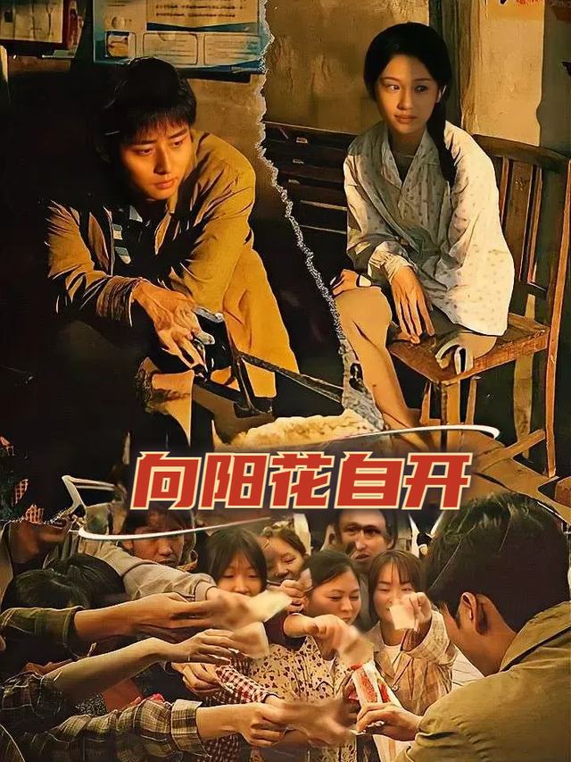 向阳花自开封面
