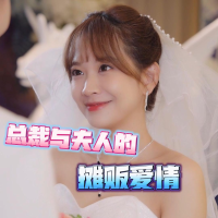 总裁与夫人的摊贩爱情封面