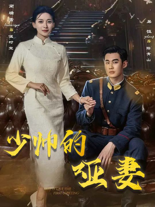 少帅的哑妻封面