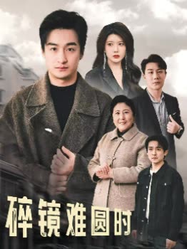 碎镜难圆时封面