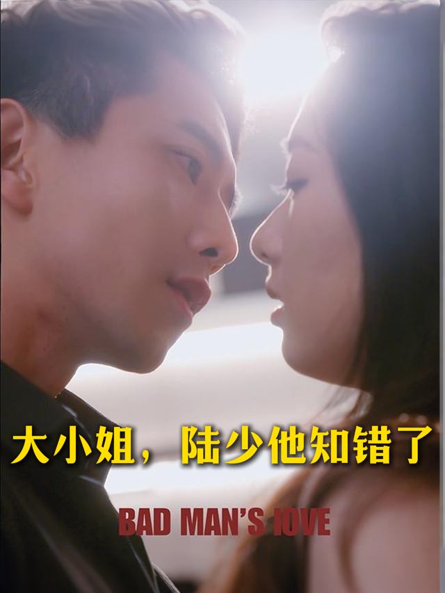 大小姐，陆少他知错了封面