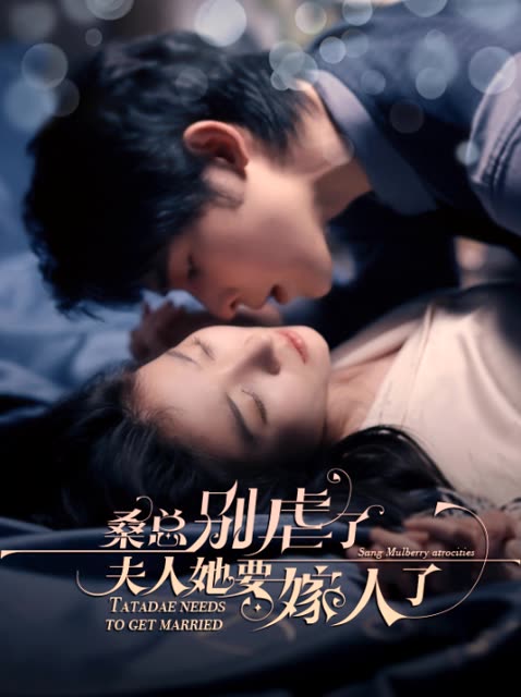 桑总别虐了夫人她要嫁人了封面