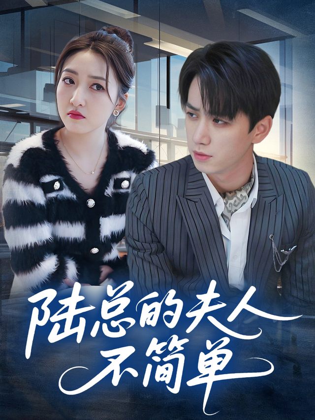 陆总的夫人不简单封面