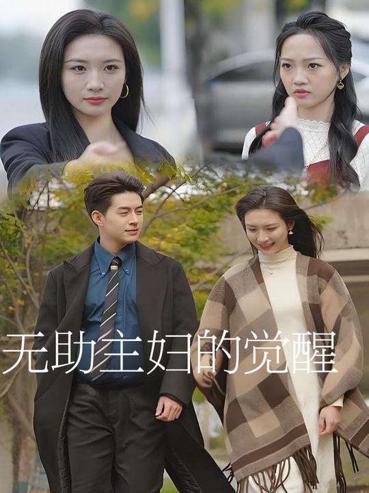 无助主妇的觉醒封面