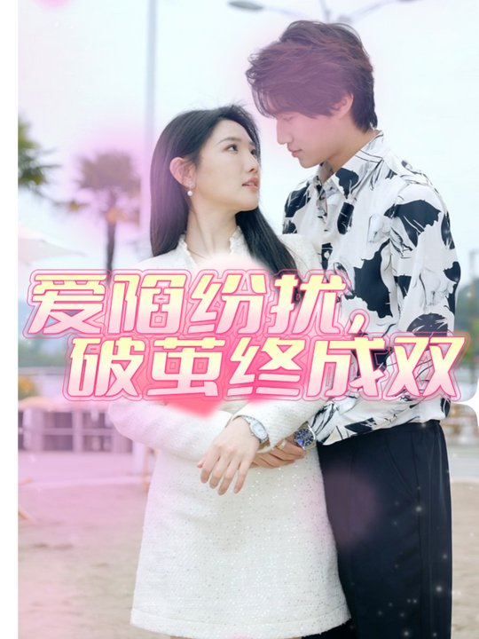 爱陷纷扰,破茧终成双封面