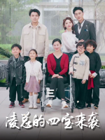 凌总的四宝来袭封面