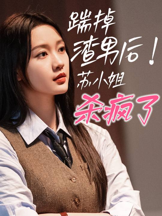 苏小姐独美封面
