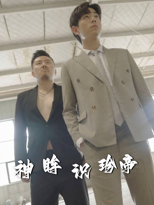 神眸识珍帝封面