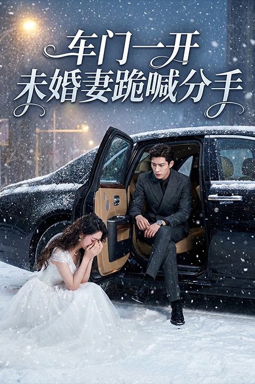 车门一开未婚妻跪地喊分手封面