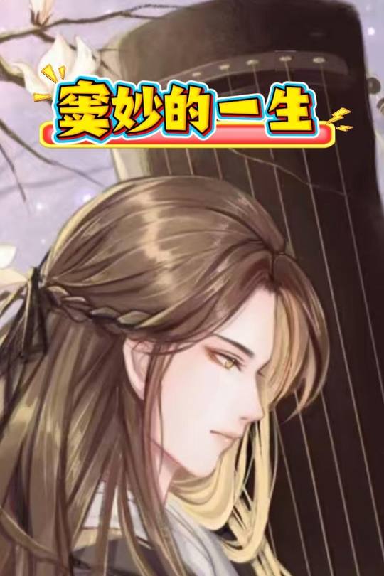 窦妙的一生封面