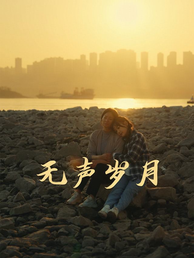 无声岁月封面