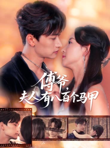 傅爷，夫人有八百个马甲封面