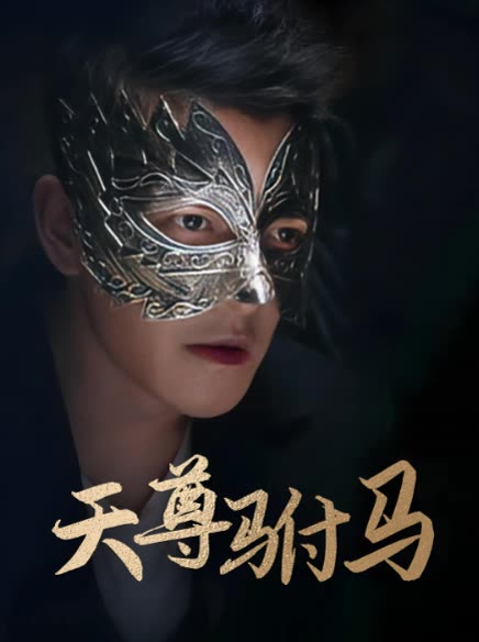 天尊驸马封面