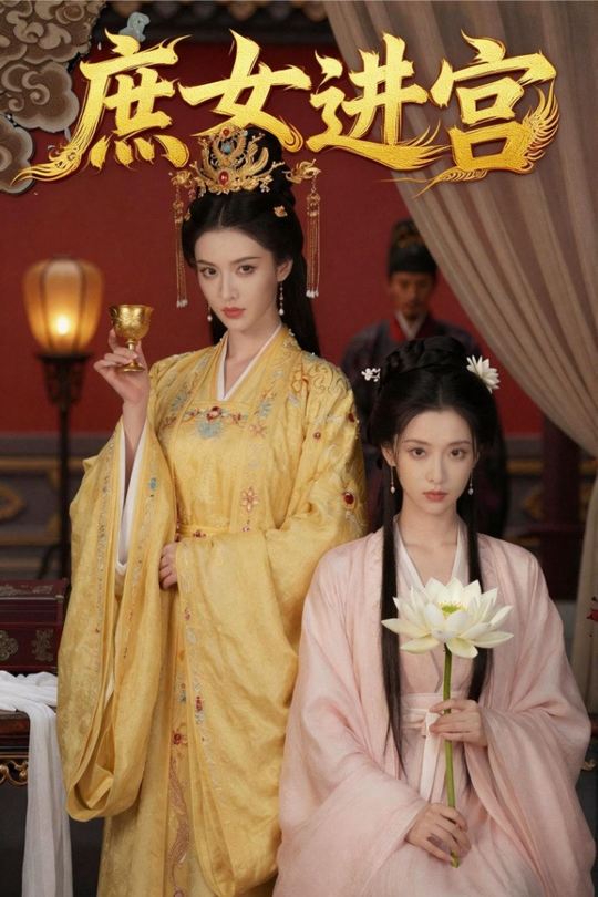 庶女进宫封面