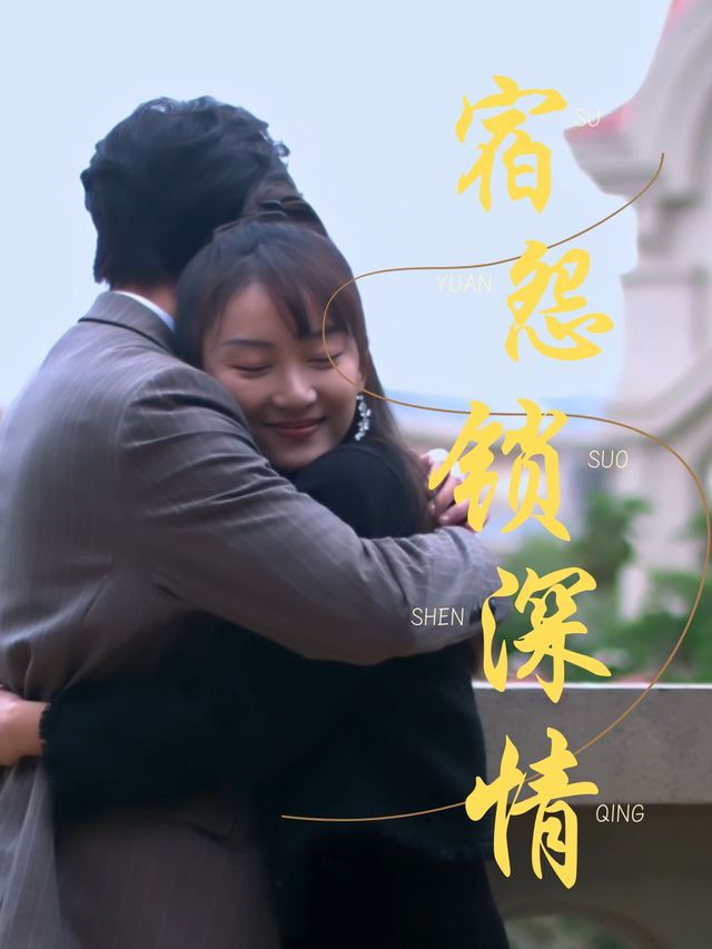 宿怨锁深情封面