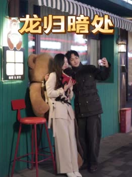 龙归暗处封面