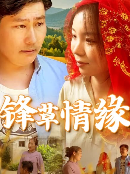 锋草情缘封面