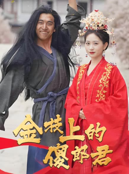金枝上的傻郎君封面