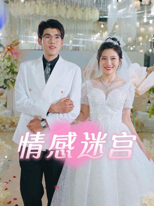 情感迷宫封面
