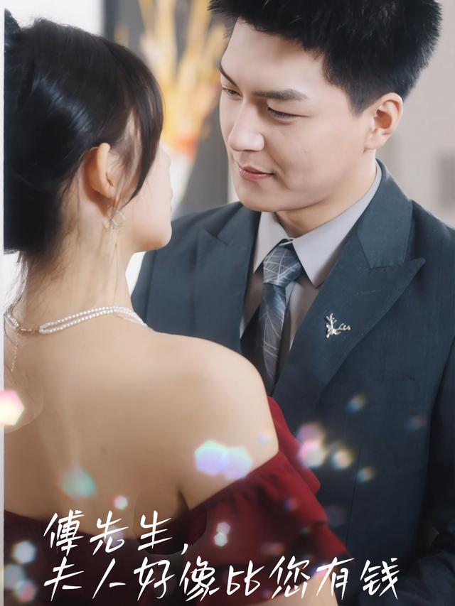 傅先生,夫人好像比您有钱封面