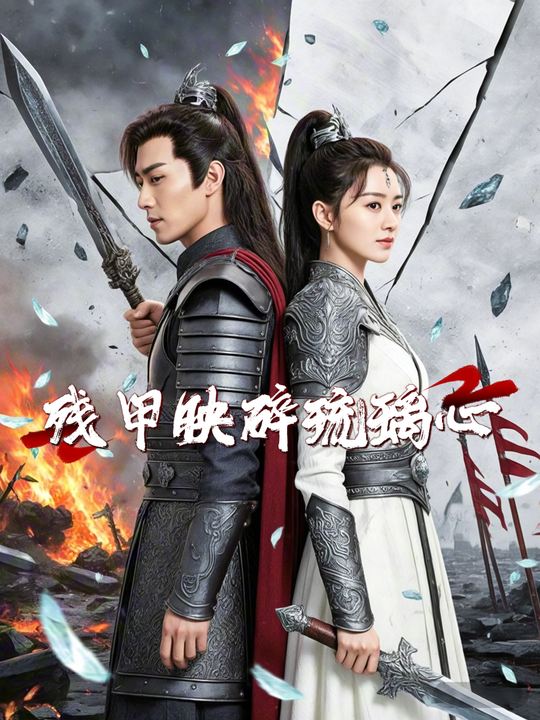 残甲映碎琉璃心封面