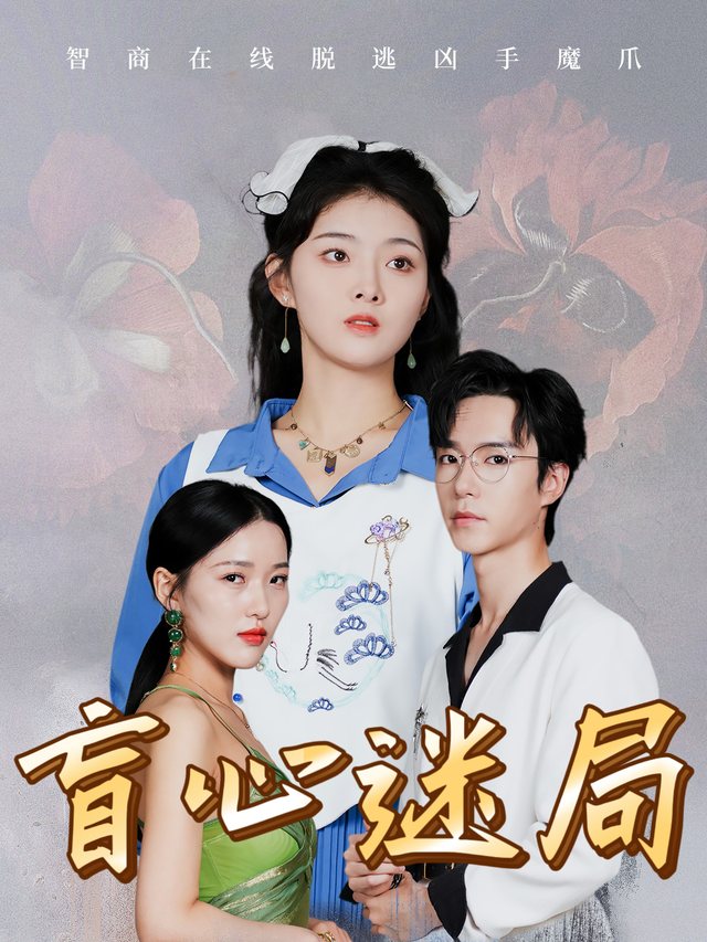 盲心迷局封面