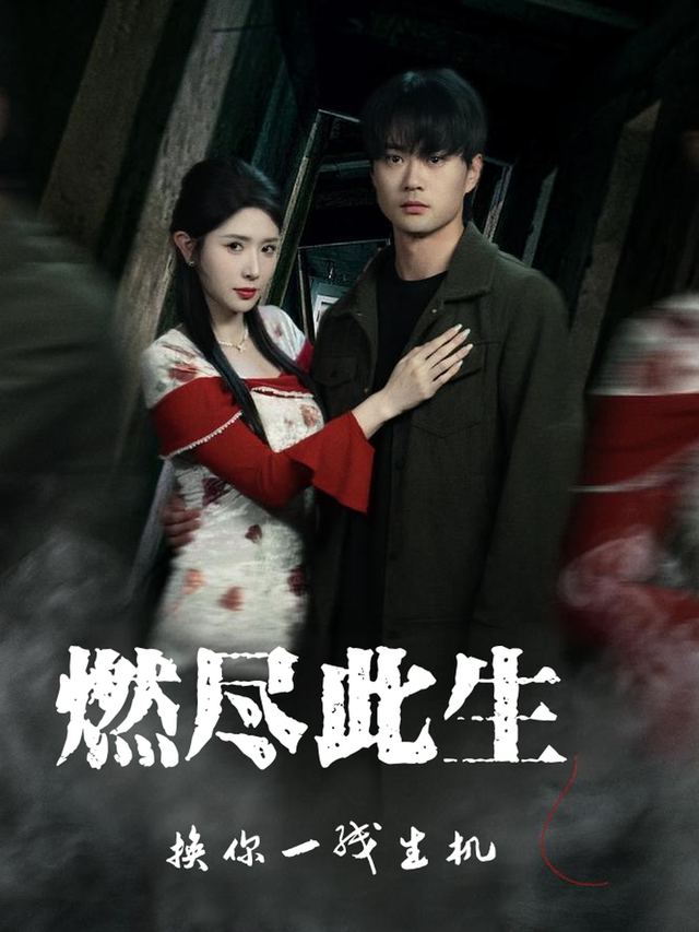 燃尽此生,换你一线生机封面