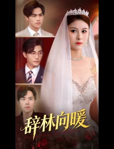 辞林向暖封面