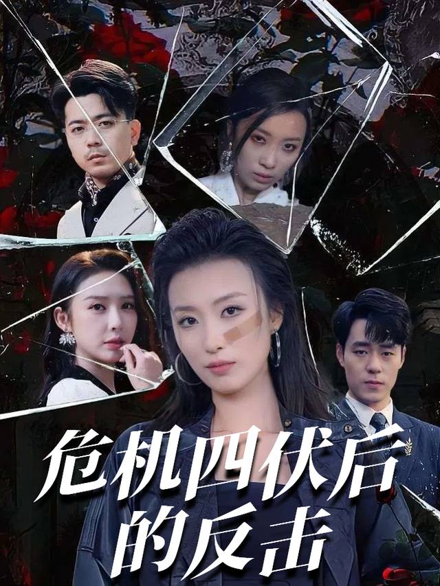 危机四伏后的反击封面
