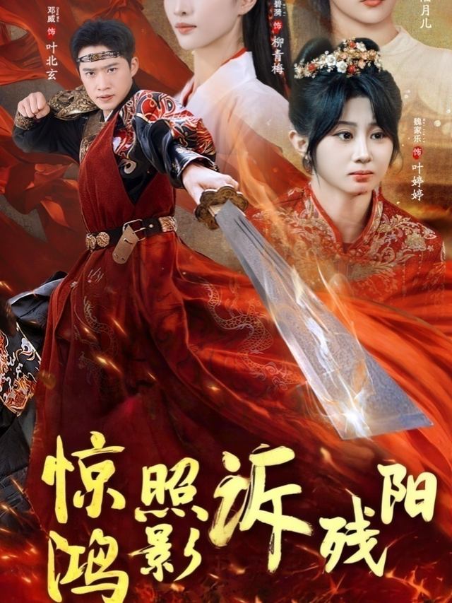 惊鸿照影诉残阳封面