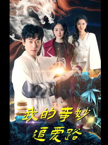 我的奇妙追爱路封面